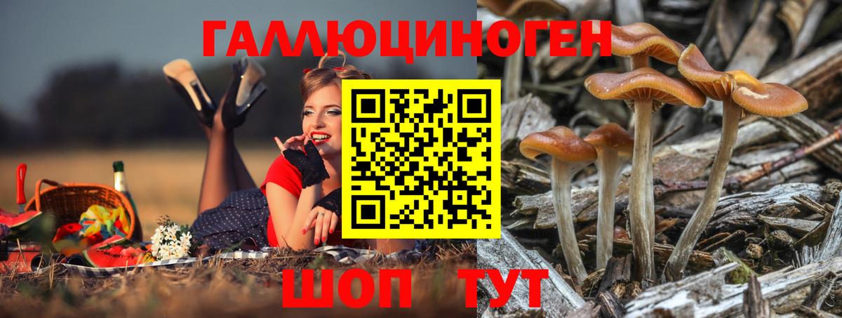 Михайловск  Галлюциногенные грибы Psilocybine cubensis  Вход с VPN  Галлюциногенные грибы GOLDEN TEACHER 