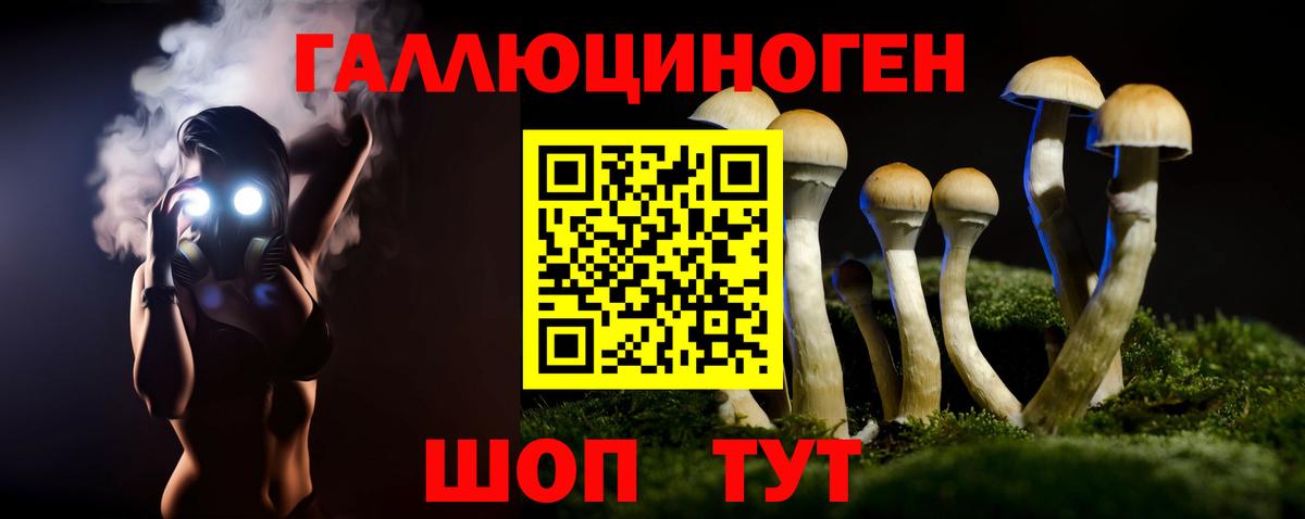 Галлюциногенные грибы Psilocybe Михайловск